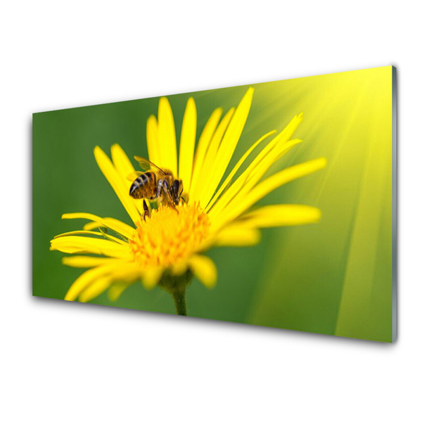 Slika na steklu Bee flower narava