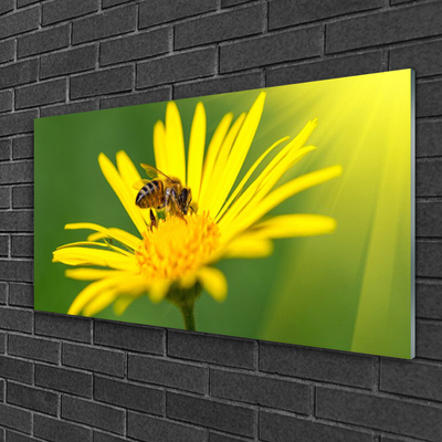 Slika na steklu Bee flower narava