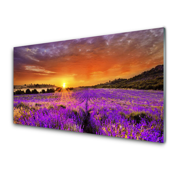 Slika na steklu Sunset lavender polje