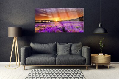 Slika na steklu Sunset lavender polje