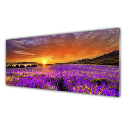 Slika na steklu Sunset lavender polje