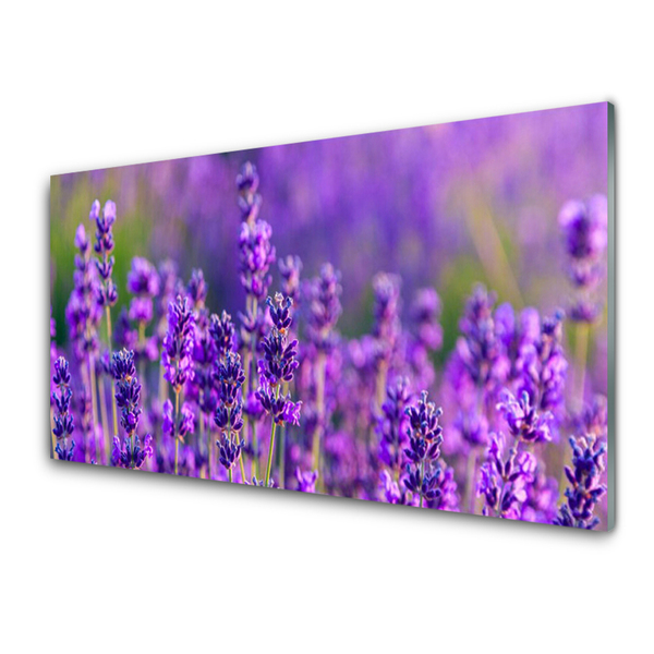 Slika na steklu Purple lavender polje