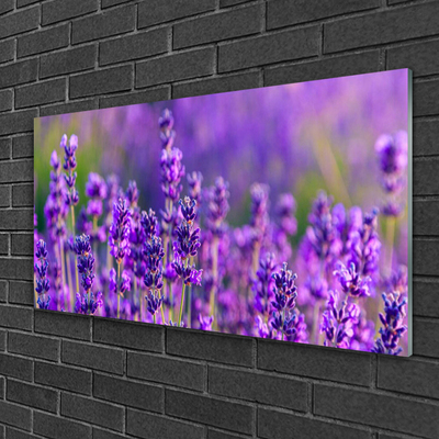 Slika na steklu Purple lavender polje