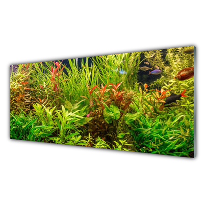Slika na steklu Aquarium fish rastline