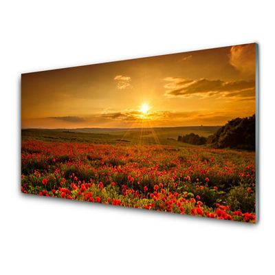 Slika na steklu Makovo polje sunset travnik