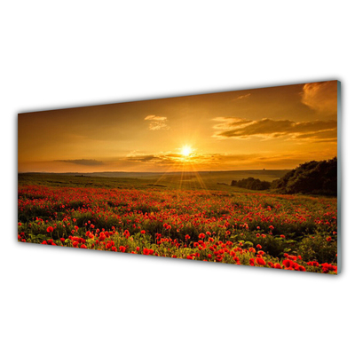 Slika na steklu Makovo polje sunset travnik
