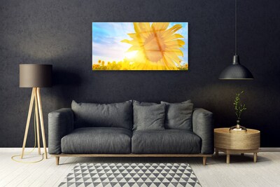 Slika na steklu Sončnica sun flower