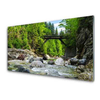 Slika na steklu Leseni most v gozdu