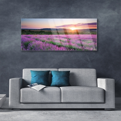 Slika na steklu West travnik lavender polja