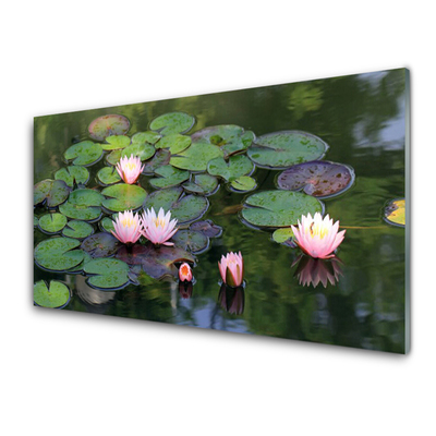 Slika na steklu Voda lily pond narava