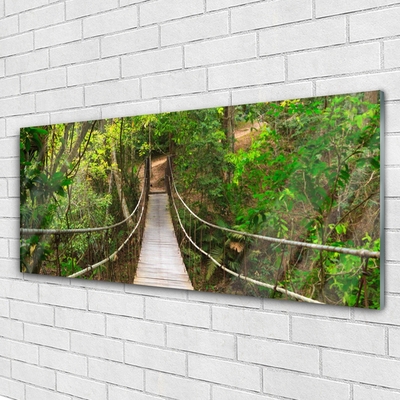 Slika na steklu Večina jungle deževni gozd