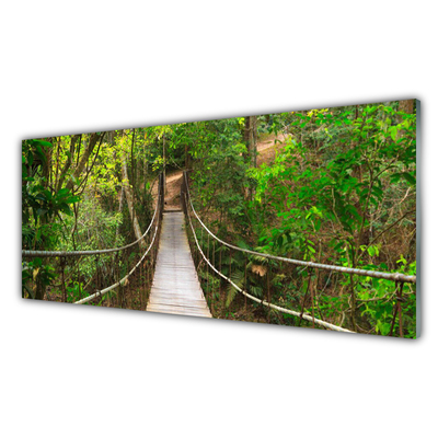 Slika na steklu Večina jungle deževni gozd