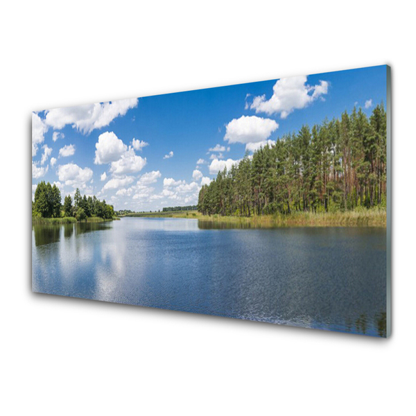 Slika na steklu Lake forest landscape
