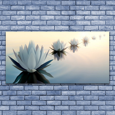 Slika na steklu White water lilies waterlily
