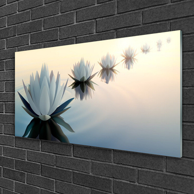 Slika na steklu White water lilies waterlily