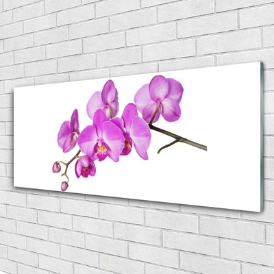 Slika na steklu Orhideja orhideje