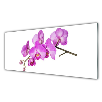 Slika na steklu Orhideja orhideje