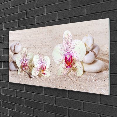 Slika na steklu Orchid orchid sand