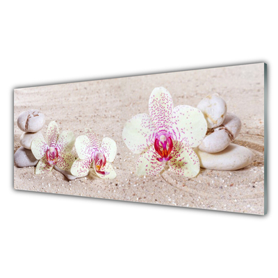 Slika na steklu Orchid orchid sand