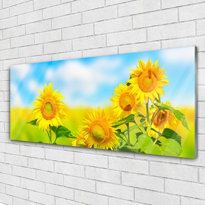Slika na steklu Sončnica rože narava