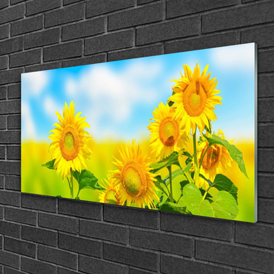 Slika na steklu Sončnica rože narava