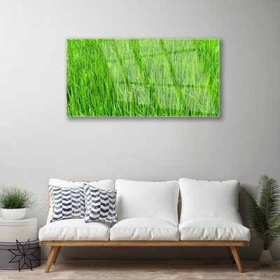 Slika na steklu Narava green grass turf