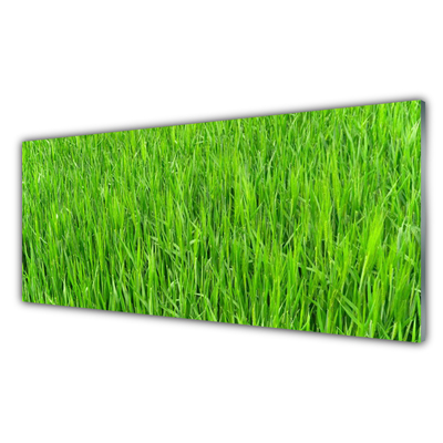 Slika na steklu Narava green grass turf