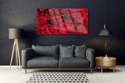 Slika na steklu Red roses flowers narava