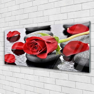 Slika na steklu Red rose flower