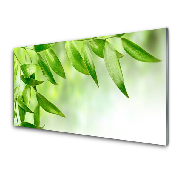 Slika na steklu Green leaves narava
