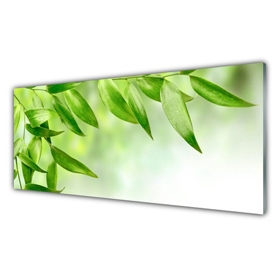 Slika na steklu Green leaves narava