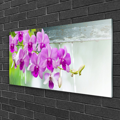Slika na steklu Orhideje narava drops