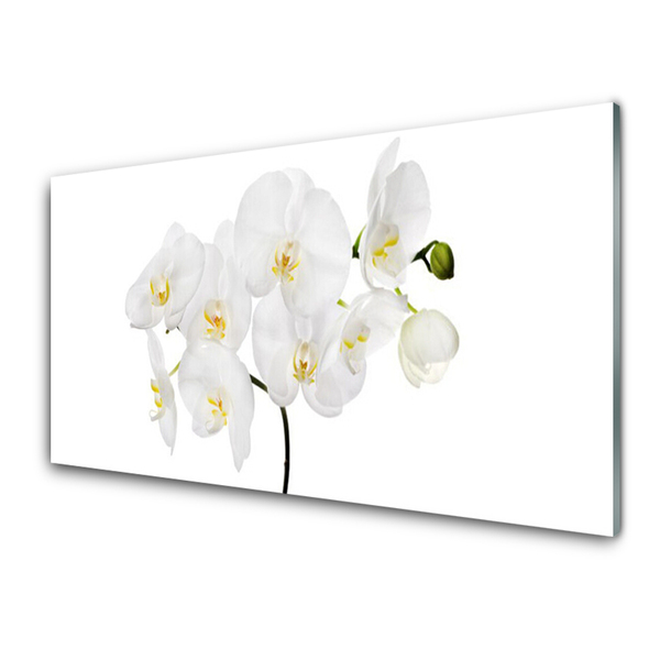 Slika na steklu Bela orhideje
