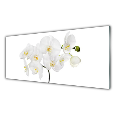 Slika na steklu Bela orhideje