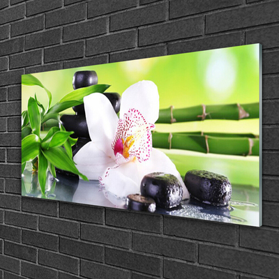 Slika na steklu Orchid bamboo listi
