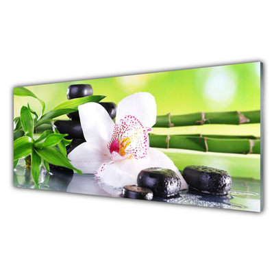 Slika na steklu Orchid bamboo listi