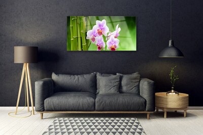 Slika na steklu Bamboo orchid cvetje zen