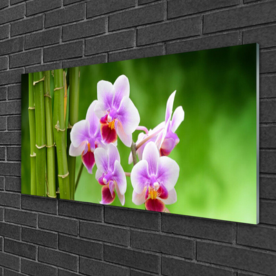 Slika na steklu Bamboo orchid cvetje zen