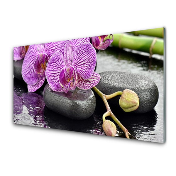 Slika na steklu Orchid orchid zen spa