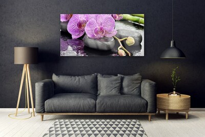Slika na steklu Orchid orchid zen spa