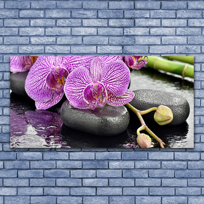 Slika na steklu Orchid orchid zen spa