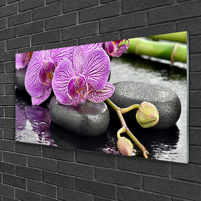 Slika na steklu Orchid orchid zen spa