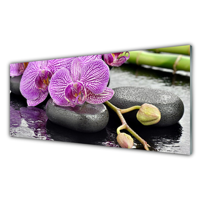 Slika na steklu Orchid orchid zen spa