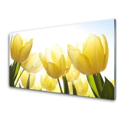 Slika na steklu Tulipani flowers rays