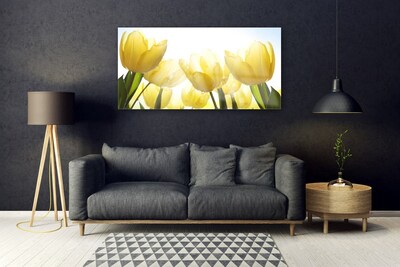 Slika na steklu Tulipani flowers rays