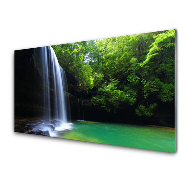 Slika na steklu Slap narava forest lake