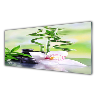 Slika na steklu Bamboo orchid zen spa