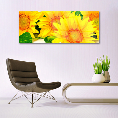 Slika na steklu Sončnica flower narava
