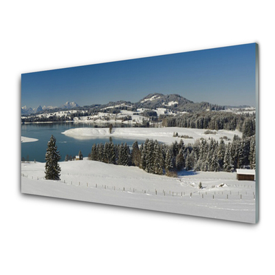 Slika na steklu Snow mountains lake region