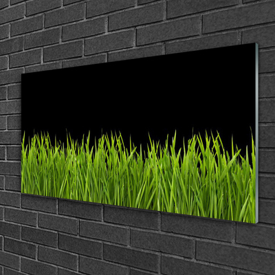 Slika na steklu Green grass nature